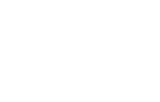 Asociación sin fines de lucro SpottersChile